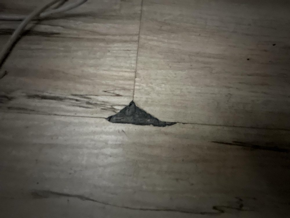 Water Damage Inspection in Chula Vista, CA (3)