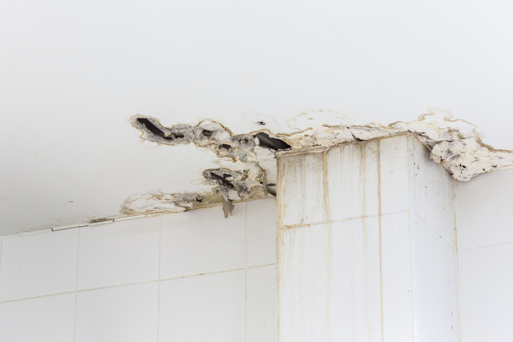 Why Commercial Mold Remediation Is Essential After Water Damage in Office Buildings