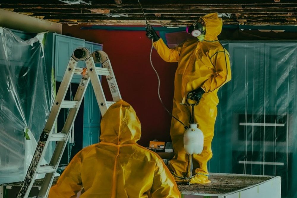 Why Insurance Claim Support Matters During Water Damage Restoration
