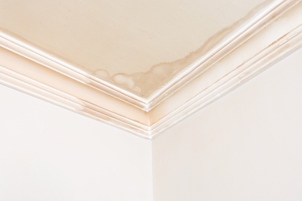 How Roof Leak Water Mitigation Protects Attics and Ceilings