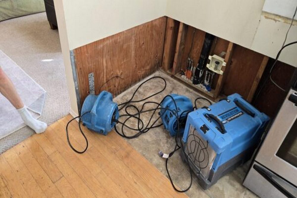 When Water Damage Repairs Should Begin After Structural Drying