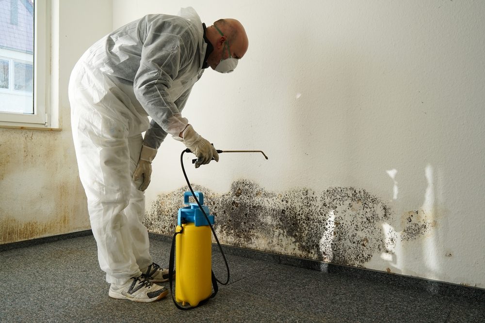 When to Schedule Mold Inspection to Protect Your Indoor Air Quality