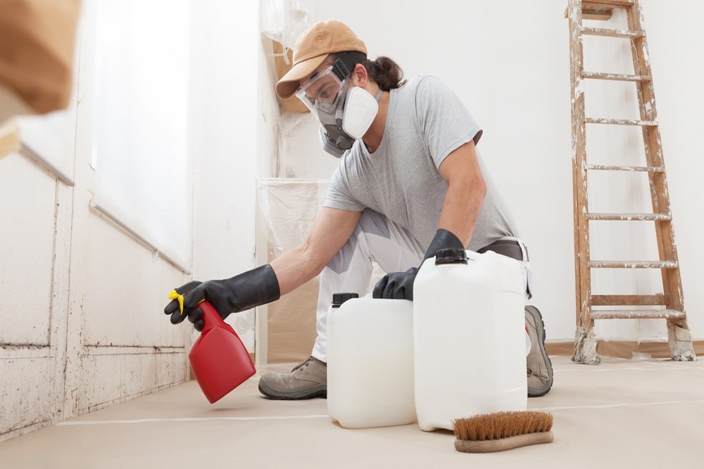 When to Schedule a Mold Remediation Service After Water Intrusion