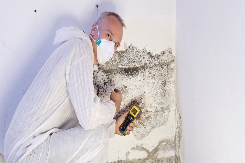 Why Mold Inspection Matters Before Remodeling Your Home