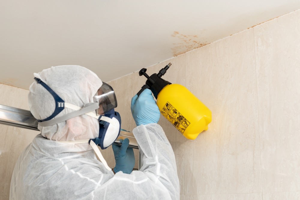 Mold Removal Services for Homes Affected by Lingering Moisture Problems
