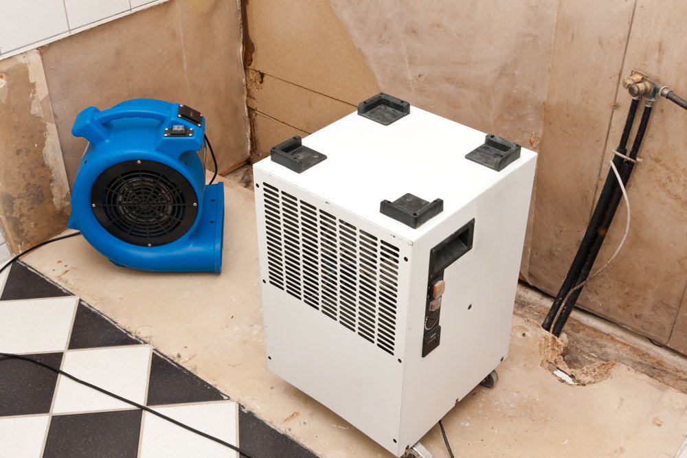 Why Professional Dehumidification Is Critical After Water Damage Restoration