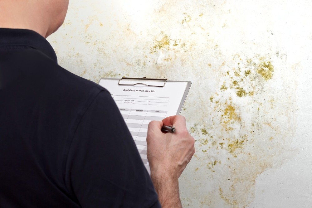 Unexpected Places Mold Can Grow After a Flood