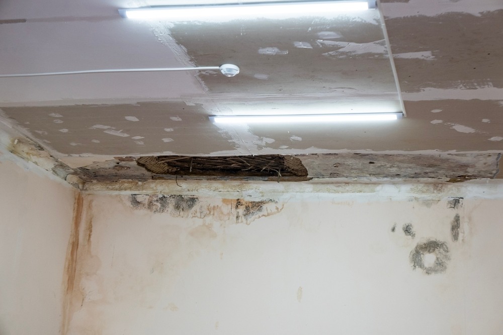  When Ceiling Water Stains Indicate Hidden Structural Damage