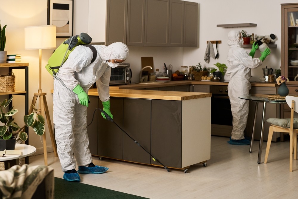     Mold Clean Up vs. Surface Cleaning: What’s the Difference?