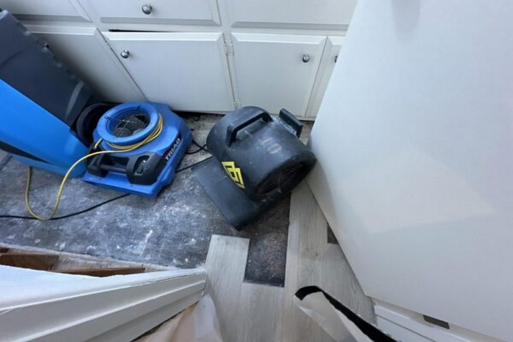   Property Dry Out Services Help Prevent Costly Mold Damage Repair