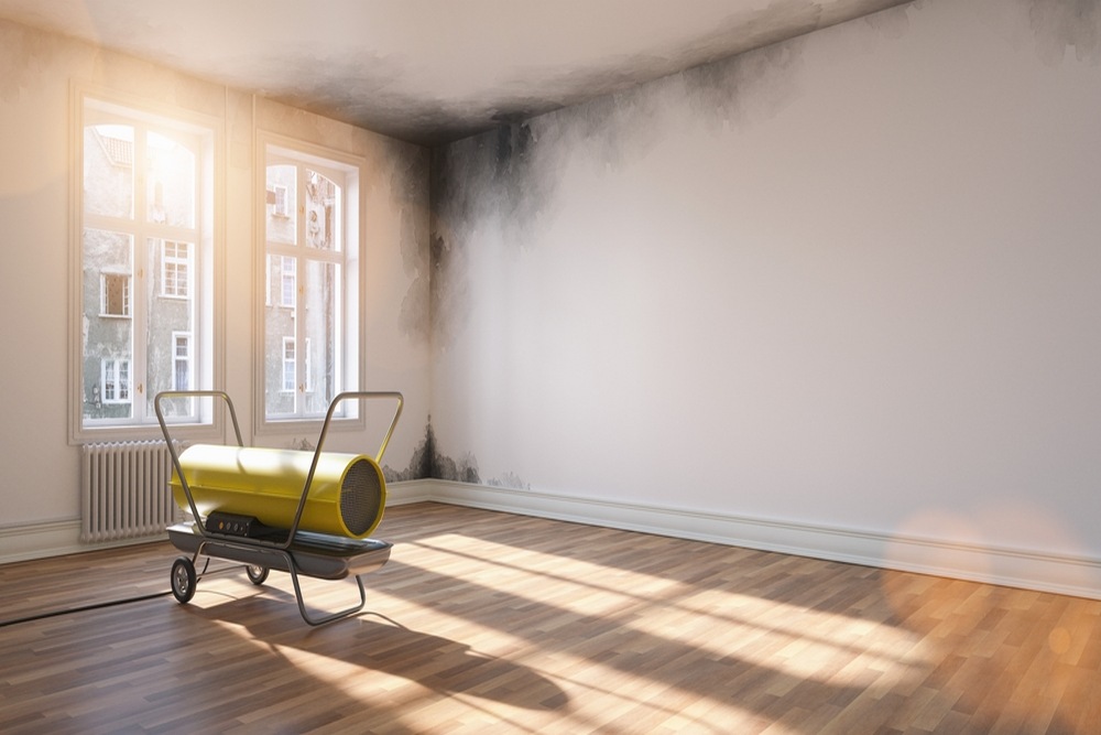    Signs Your Property Needs Professional Structural Drying After Water Damage