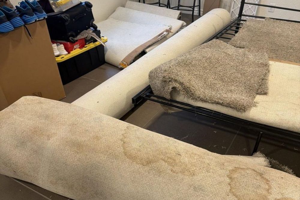 Why Water Damage Repair May Require More Than Water Removal