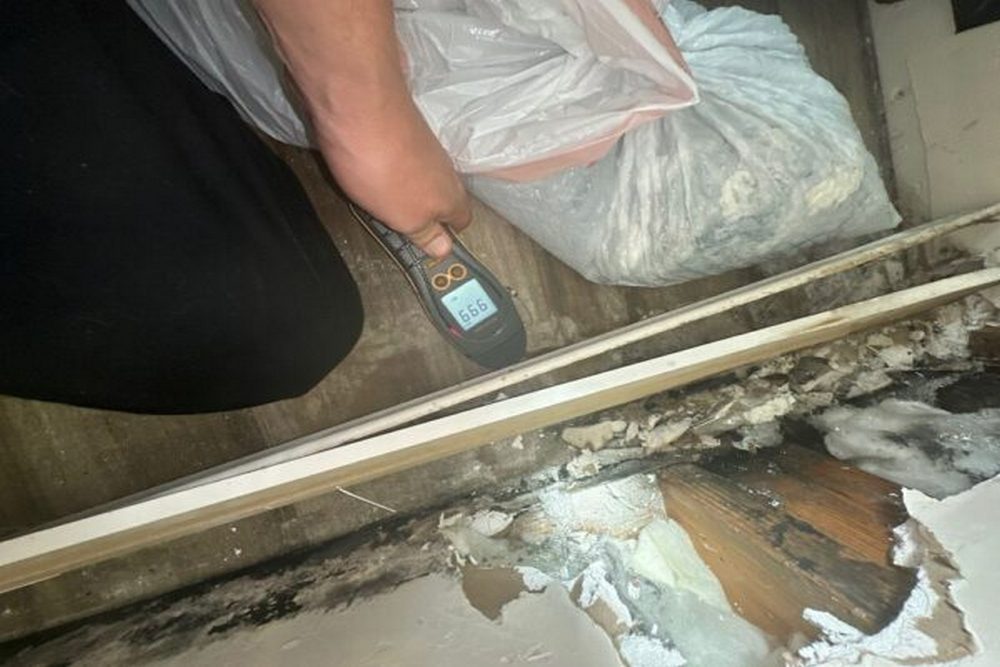 Why Mold Damage Repair Is Needed After Mold Removal