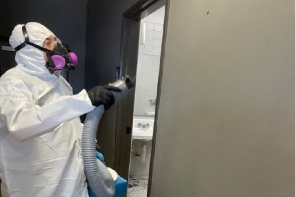 Why Professional Mold Inspection Matters After a Plumbing Leak
