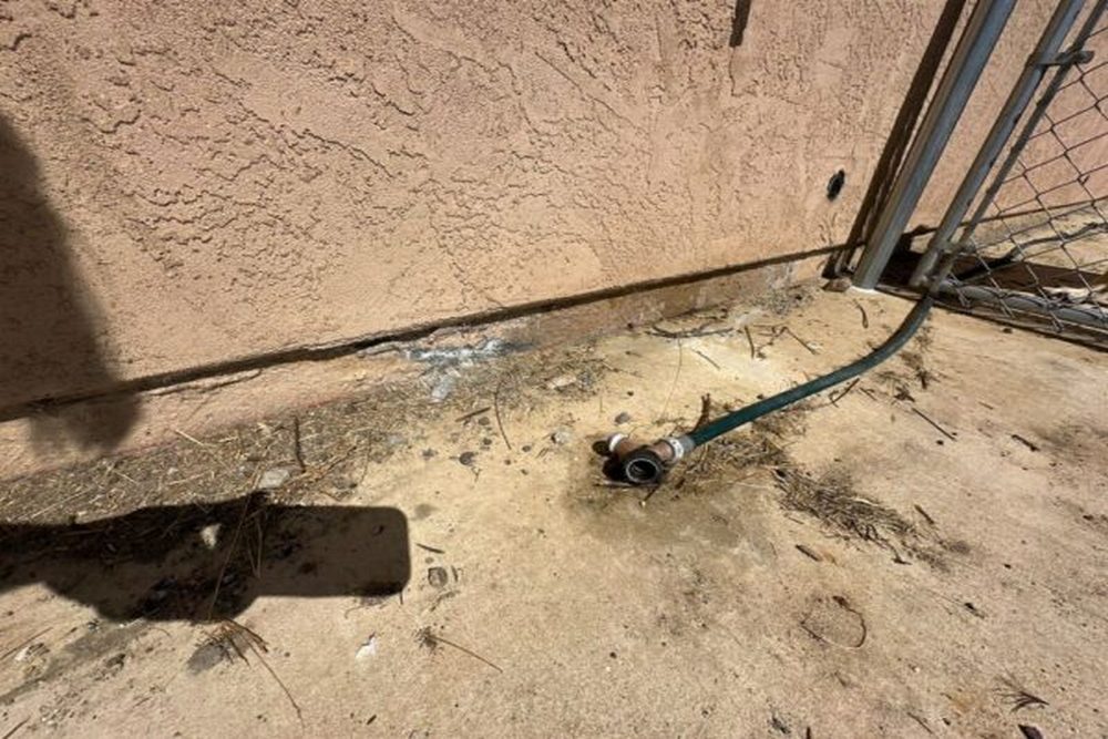 Why Professional Mold Remediation Matters After Floodwater Enters Your Property