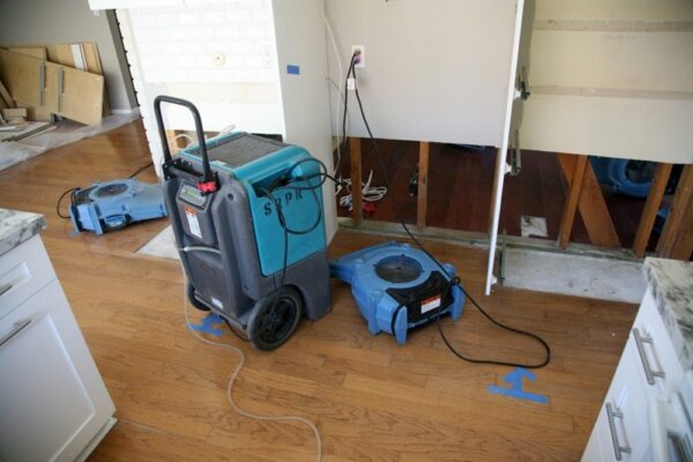 Why Water Extraction Matters Before Property Dry Out